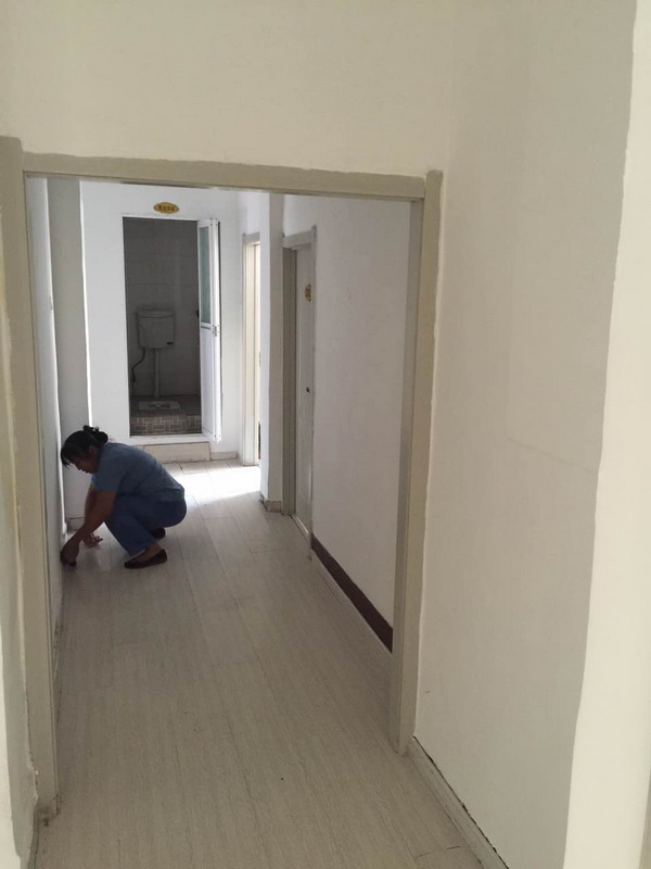 案例展示